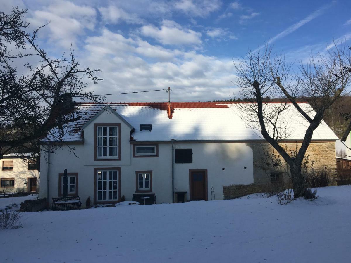 Ferienhaus Vulkaneifel Landhaus Loogh Kerpen  Exterior foto