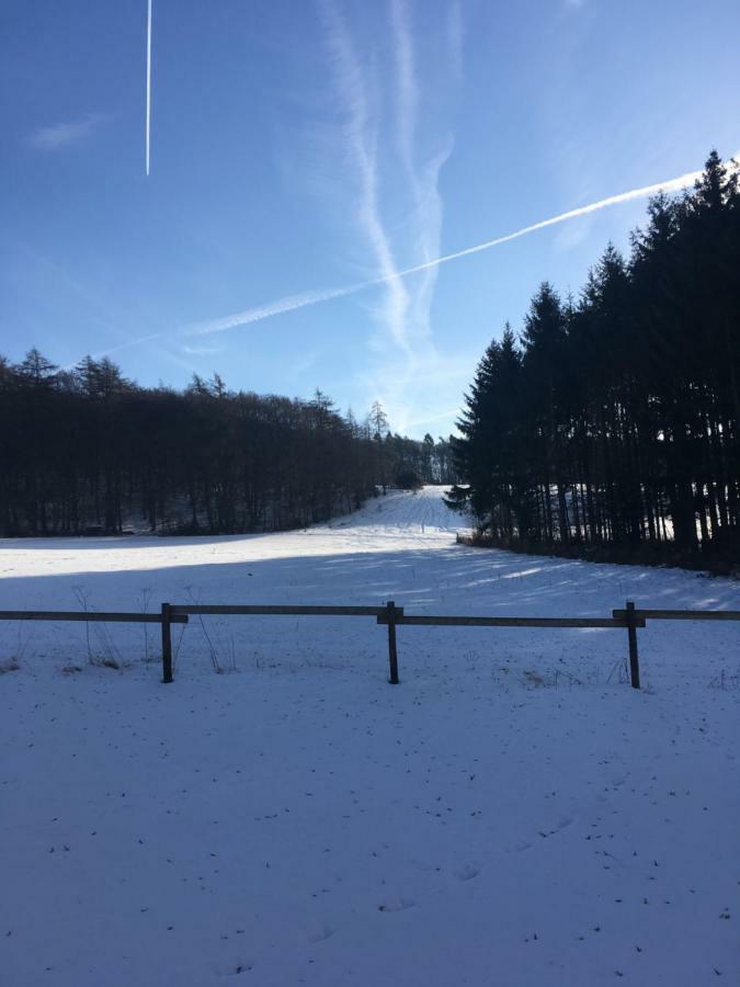 Ferienhaus Vulkaneifel Landhaus Loogh Kerpen  Exterior foto